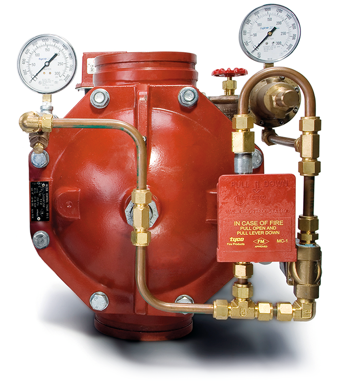 Tyco FPP DV-5 valve.