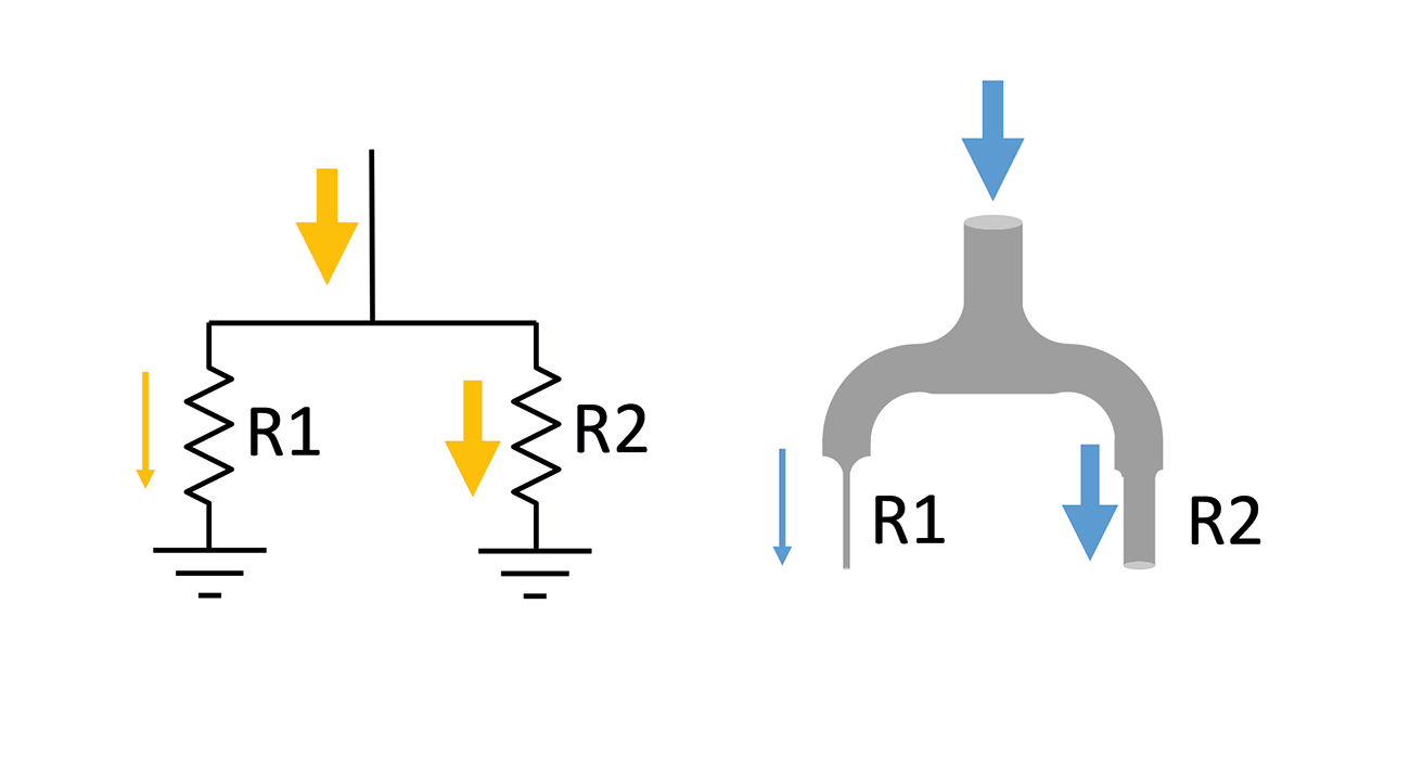 The amount of electrical current through different paths depends on the resistance of the paths. This is analogous to water flowing through pipes with different resistances.