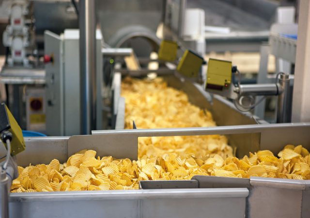 Industrial fryer cooking potato chips.