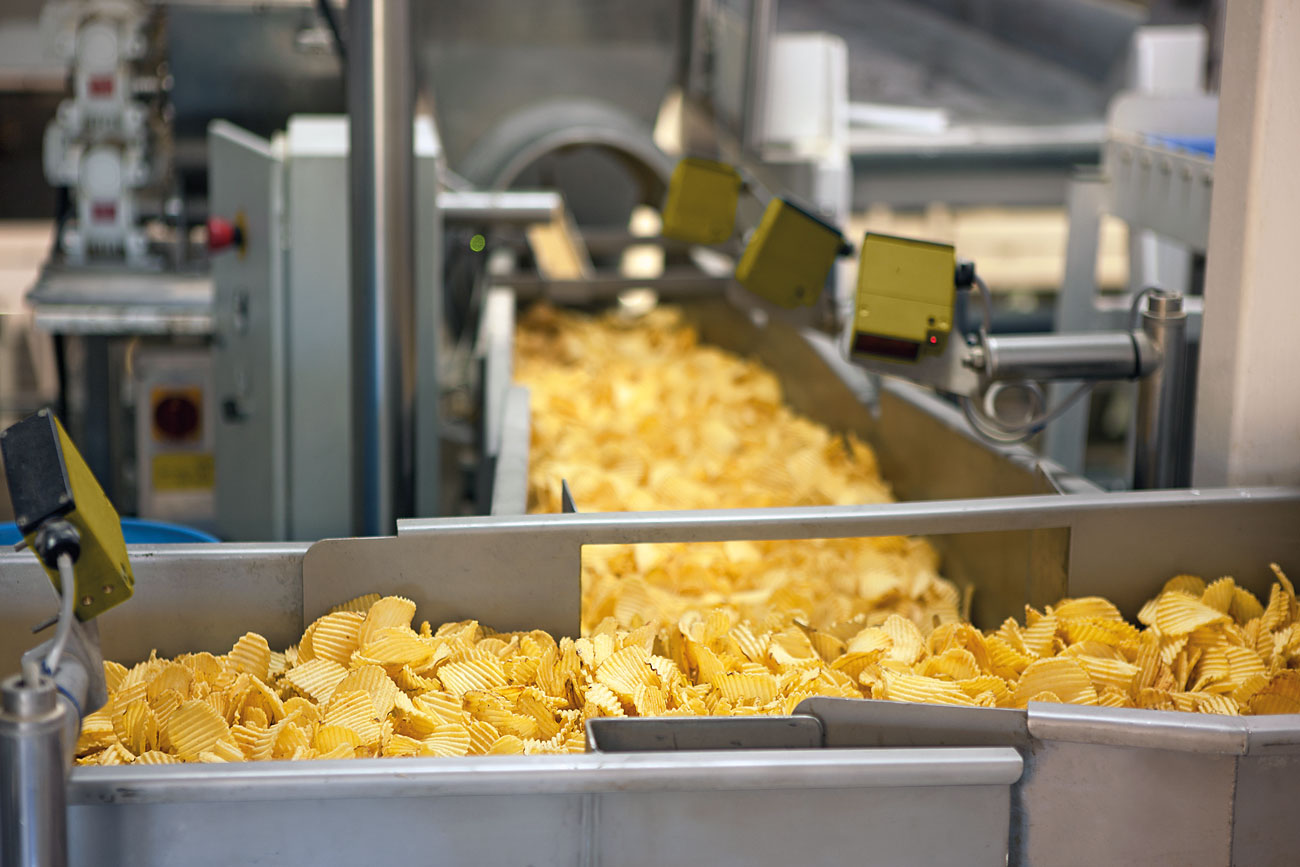 Industrial fryer cooking potato chips.