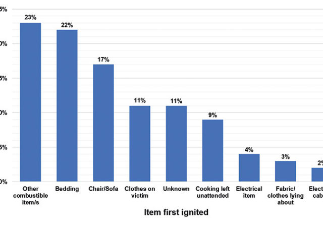 Figure 1: The items first ignited and associated percentage of cases.