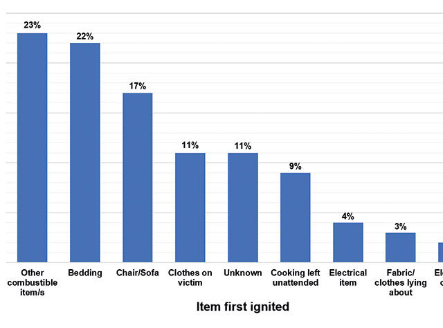 Figure 1: The items first ignited and associated percentage of cases.