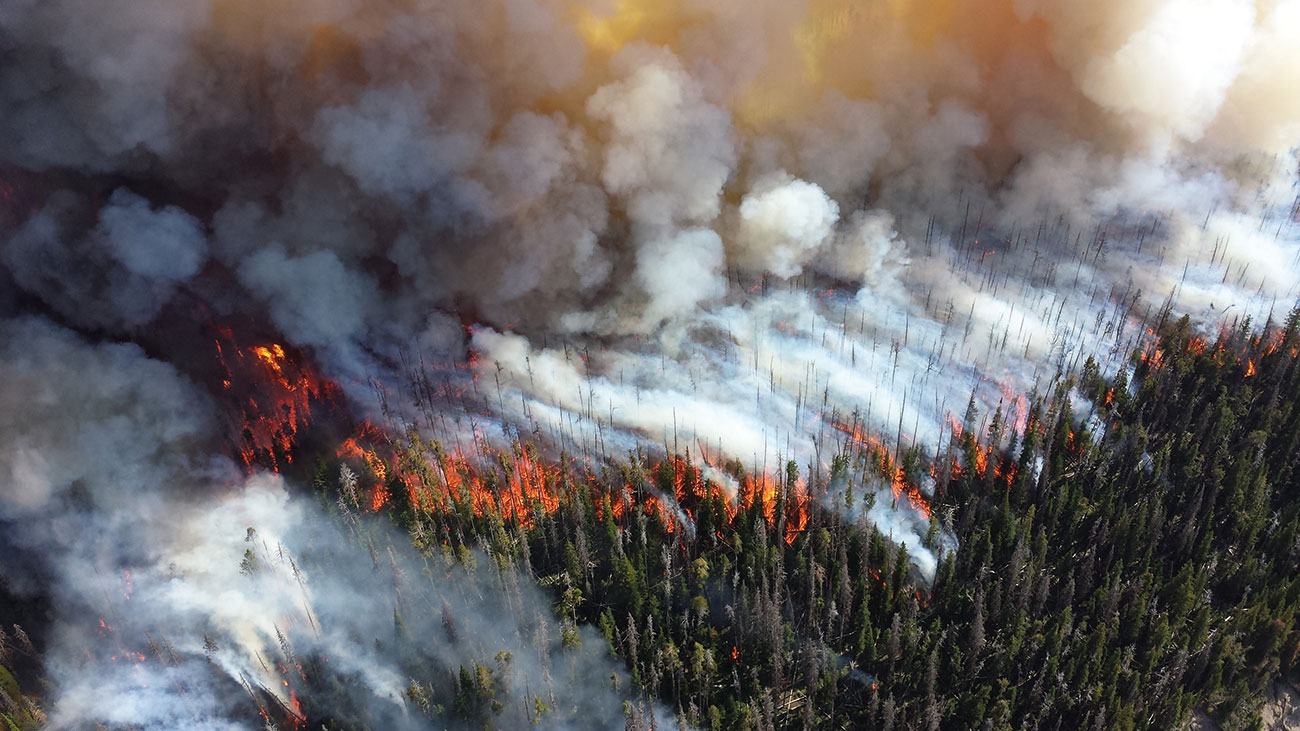 Wildland-Urban Interface (WUI) fires are on the increase, but it’s not just the physical buildings being lost that needs consideration.
Images supplied by Author / Contributor