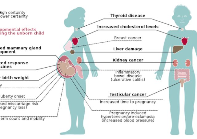 Long-term exposure to PFAS is detrimental to human health. (Credit: European Environment Agency, Wikimedia Creative Commons)